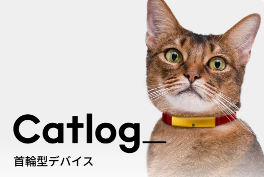Catlog