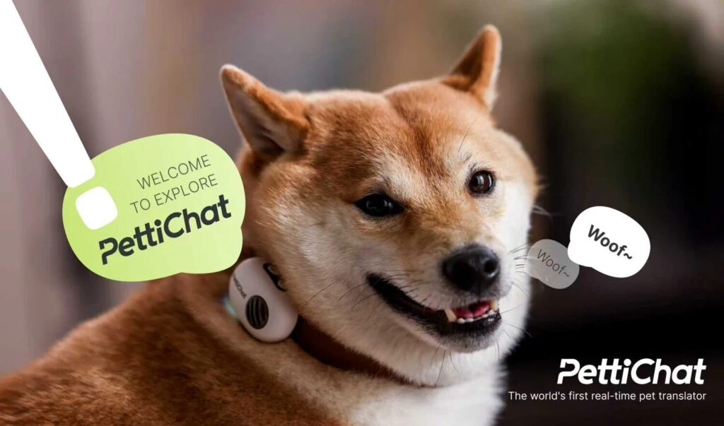 PettiChatの画像